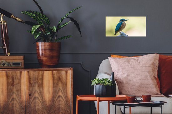 Stickers Stickers muraux - Martin-pêcheur - Branche - Vogel - 40x20 cm - Film adhésif