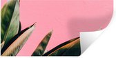 Muurstickers - Sticker Folie - Planten - Bladeren - Vrouwentong - Roze - Tropisch - 40x20 cm - Plakfolie - Muurstickers Kinderkamer - Zelfklevend Behang - Zelfklevend behangpapier - Stickerfolie