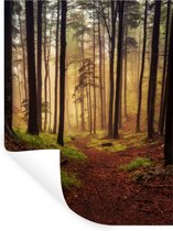 Stickers muraux - Arbres - Nature - Forêt - 120x160 cm - Film adhésif XXL