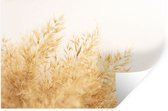 Stickers muraux - Herbe de la pampa - Soleil - Herbe - 90x60 cm - Feuille adhésive