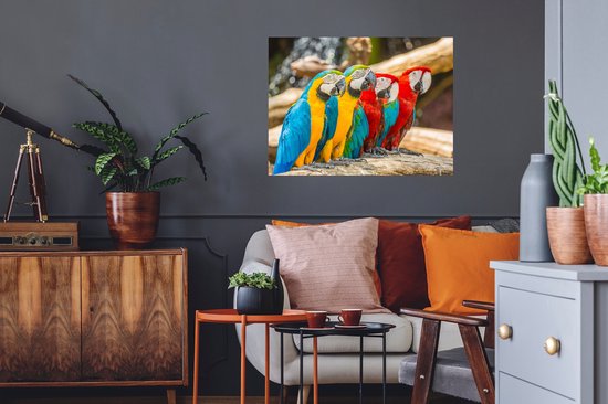 Stickers muraux - Vogels - Perroquet - Tropical - Nature - 80x60 cm - Feuille adhésive