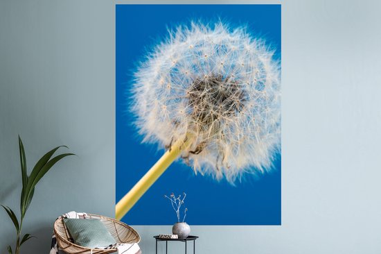 Stickers muraux - Film autocollant - Pissenlit - Bloem - Terrasse - 120x160 cm - Film adhésif - Stickers muraux Chambre d'enfant - Papier peint autocollant XXL