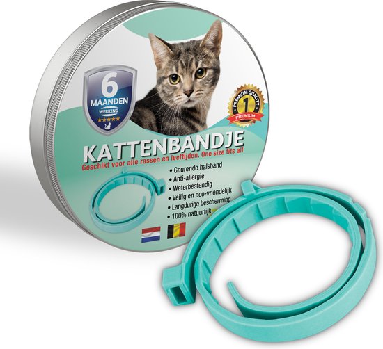 100% Natuurlijke Vlooienband – Voor Katten – Turquoise – Zonder Giftige Pesticiden – Vlooien en teken – Veilig Voor Mens En Dier – Milieuvriendelijk