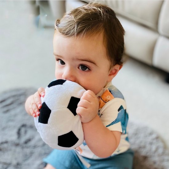 Playgro 0112017 jouet d'apprentissage