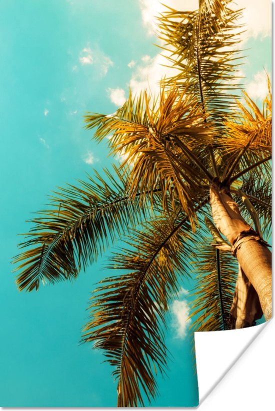 Affiche Palmier - Été - Tropical - 60x90 cm