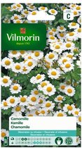 Vilmorin - Camomille - V507