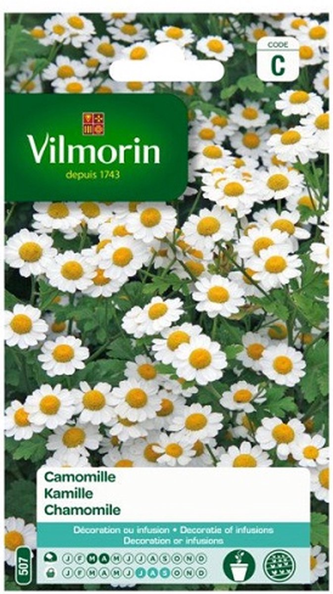 Vilmorin- Kamille- V507