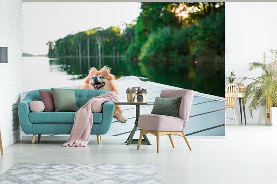 Papier peint photo peint vinyle - Poméranie se trouve sur un échafaudage largeur 450 cm x hauteur 300 cm - Tirage photo sur papier peint (disponible en 7 tailles)