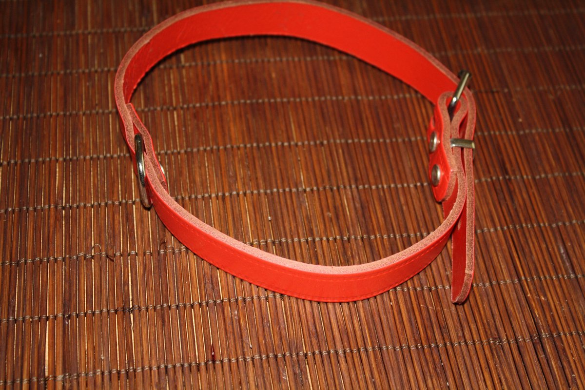 halsband voor honden 52 cm