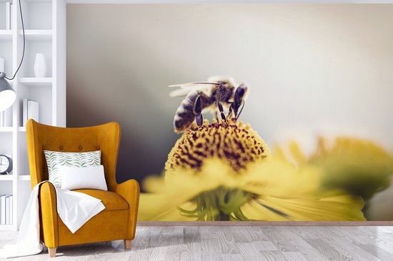 Papier peint Papier peint photo en vinyle - Abeille sur une fleur jaune largeur 450 cm x hauteur 300 cm - Tirage photo sur papier peint (disponible en 7 tailles)