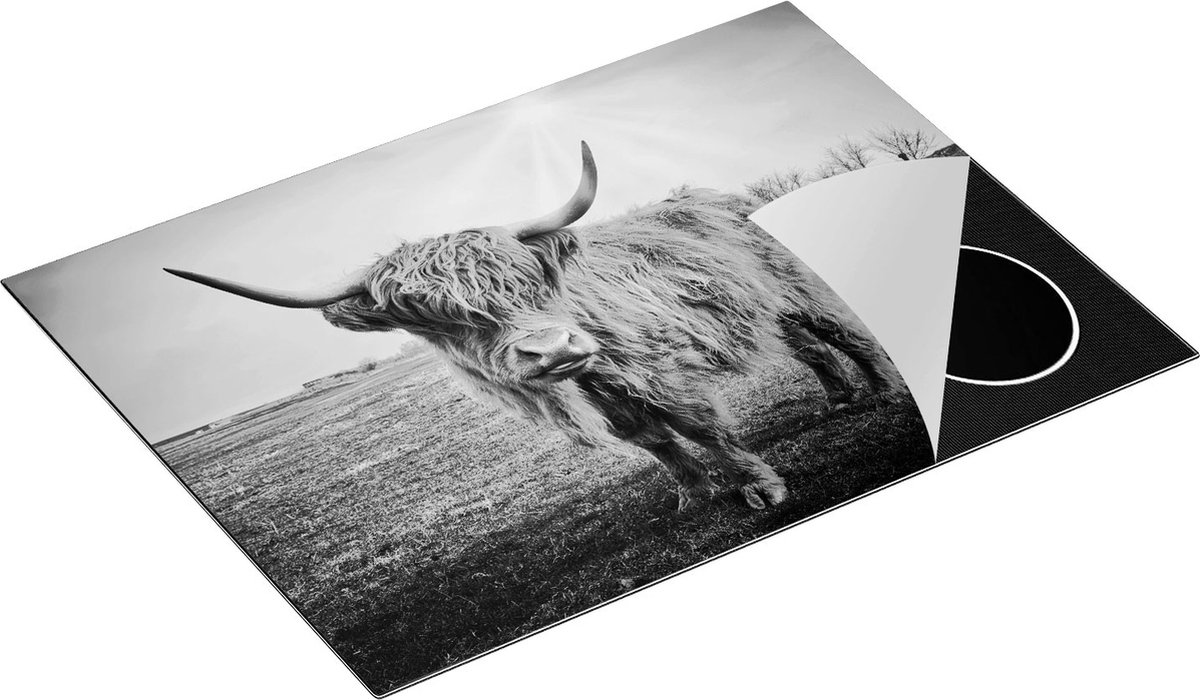 Chefcare Inductie Beschermer Bruine Schotse Hooglander Koe - Kleur - Zwart Wit - 70x55 cm - Afdekplaat Inductie - Kookplaat Beschermer - Inductie Mat