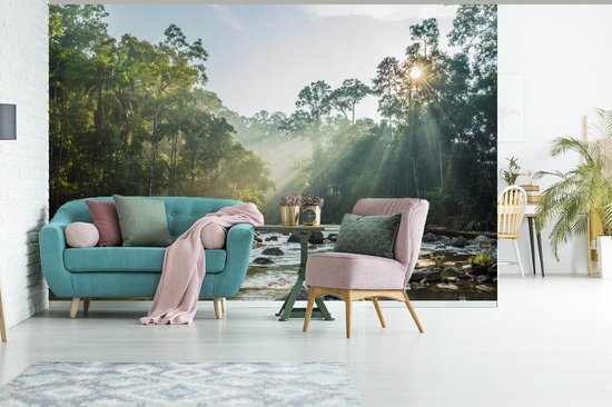 Papier peint vinyle - Le soleil brille sur une rivière dans une forêt malaisienne largeur 390 cm x hauteur 260 cm - Tirage photo sur papier peint (disponible en 7 tailles)