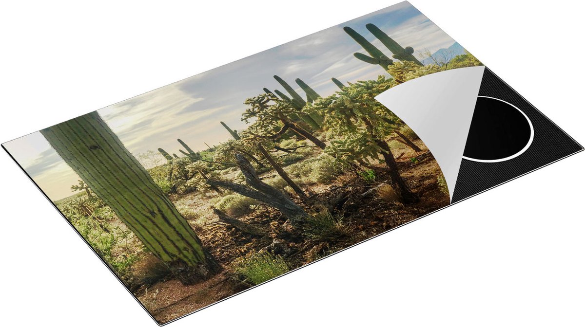 Chefcare Inductie Beschermer Cactus Planten in het Wild - 85x50 cm - Afdekplaat Inductie - Kookplaat Beschermer - Inductie Mat