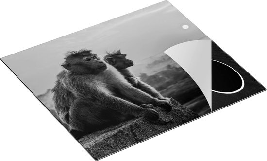 Chefcare Inductie Beschermer Twee Apen Bekijken de Zonsondergang - Zwart Wit - 59x52 cm - Afdekplaat Inductie - Kookplaat Beschermer - Inductie Mat