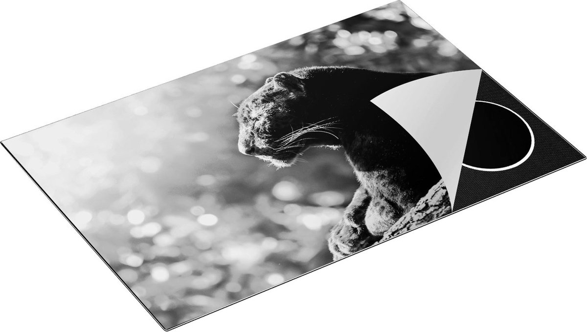 Chefcare Inductie Beschermer Zwarte Panter vanaf de Zijkant - Zwart Wit - 81x52 cm - Afdekplaat Inductie - Kookplaat Beschermer - Inductie Mat