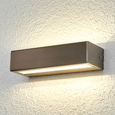 Lindby - LED wandlamp buiten - 1licht - roestvrij staal, polycarbonaat - H: 5 cm - roestvrij staal, helder - Inclusief lichtbron