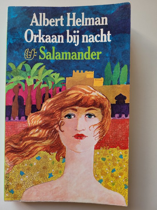 Orkaan bij nacht