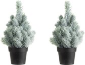 2x stuks kunstboom/kunst kerstboom met sneeuw 30 cm - Kunst kerstboompjes/kunstboompjes