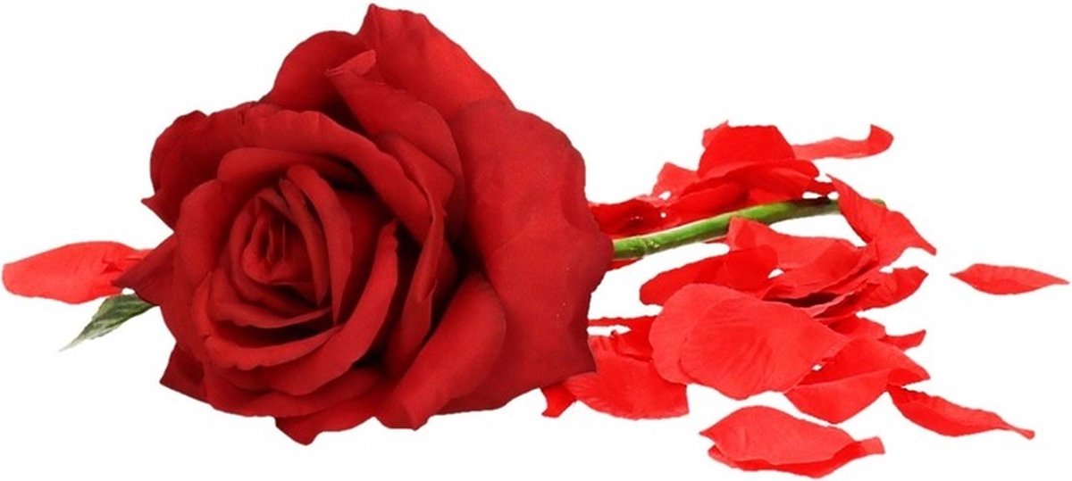 Cadeau Saint Valentin rose rouge 31 cm avec pétales de rose | bol