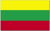 Luxe vlag Litouwen