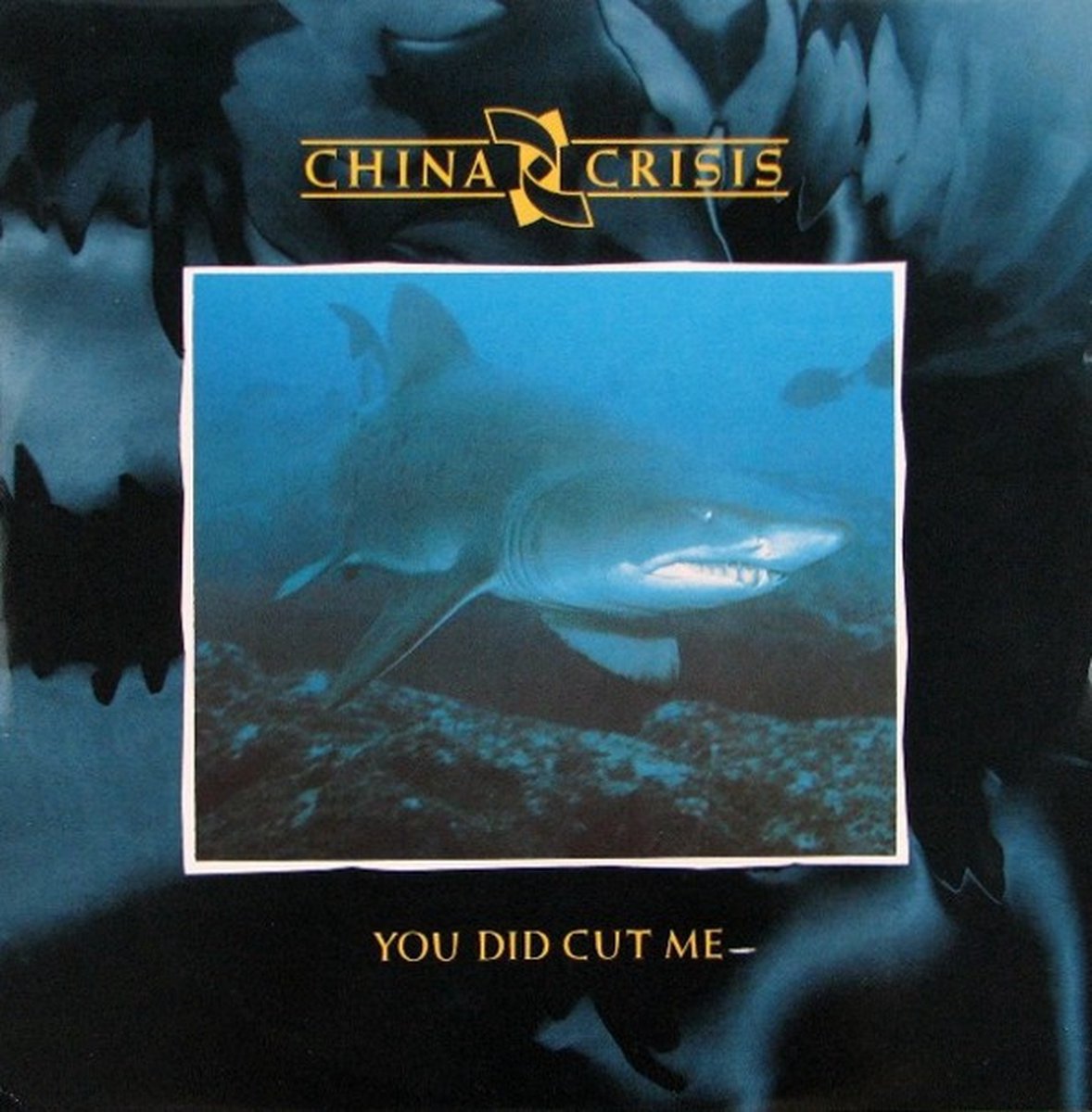 You Did Cut Me (Maxi-Single)