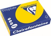 Clairefontaine Trophée Pastel, gekleurd papier, A4, 160 g, 250 vel, goudgeel 4 stuks