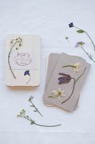 FynBosch Design DIY Bloemenpers - A6 10 x 15 cm - Herbarium - droogbloemen maken voor volwassenen - Klein & draagbaar - Pocket Flower Press - Bloemen Drogen