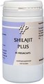 Shilajit Plus 45 capsules Holisan