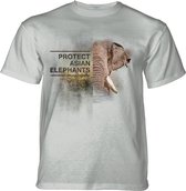 T-shirt Protect Asian Elephant Grey KIDS M