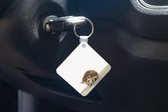 Porte-clés Animalprintshop - Porte-clés de chambre d'enfant en plastique imprimé animal hérisson - Porte-clés carré avec photo