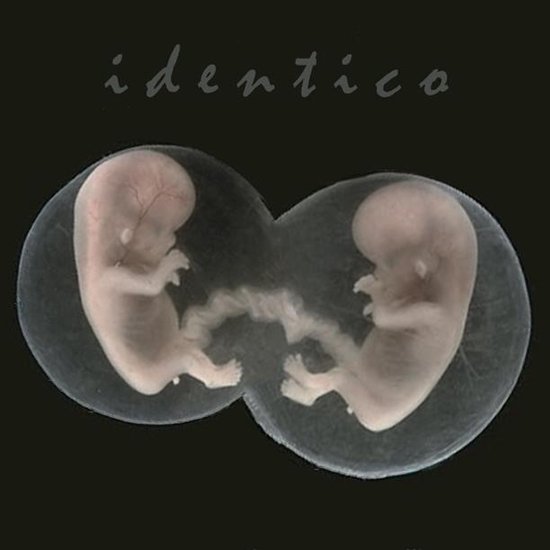 Sad Lovers And Giants - Identico (7" Single)