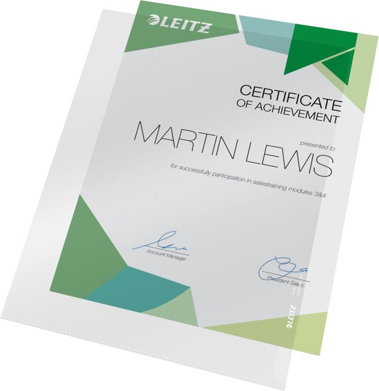 Certificaat van MERITE met groene en blauwe geometrische patronen, voor Martin Lewis.