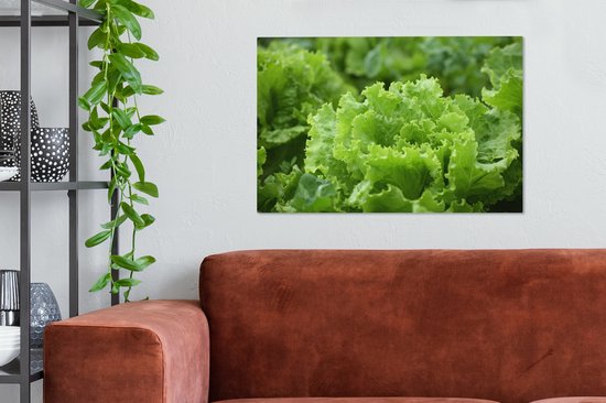Gros plan d'une tête de laitue Toile 60x40 cm - Tirage photo sur toile (Décoration murale salon / chambre)