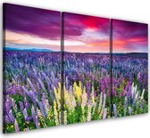 Trend24 - Canvas Schilderij - Bloemrijke Weide - Drieluik - Landschappen - 90x60x2 cm - Paars