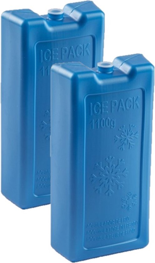 Deux blocs réfrigérants bleus avec inscription 'ICE PACK 1100g' et flocons de neige.