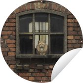 Affiche de jardin autour des Chats 1X - Affiche de jardin fantaisie de chat dans le rebord de la fenêtre - Affiche de jardin ronde 90x90 cm - Toile de jardin / Toile d'extérieur / Peintures pour l'extérieur (décoration de jardin)