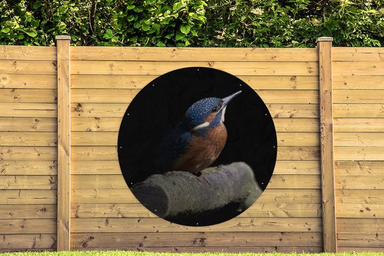 Affiche de jardin ronde Cutouts Animaux Holiday Auctions - Portrait d'un martin-pêcheur sur fond noir Affiche de jardin - Affiche de jardin ronde 150x150 cm - Toile de jardin / Toile d'extérieur / Peintures d'extérieur (décoration de jardin)