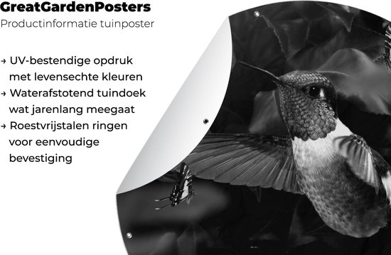Cercle de jardin Colibri entre les fleurs roses anciennes et les papillons - noir et blanc - 60x60 cm - Affiche de jardin ronde - Extérieur