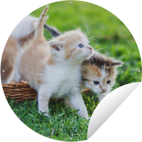 Tuincirkel Kittens - Kat - Mand - Meisjes - Kinderen - Jongens - Kids - 120x120 cm - Ronde Tuinposter - Buiten XXL / Groot formaat!