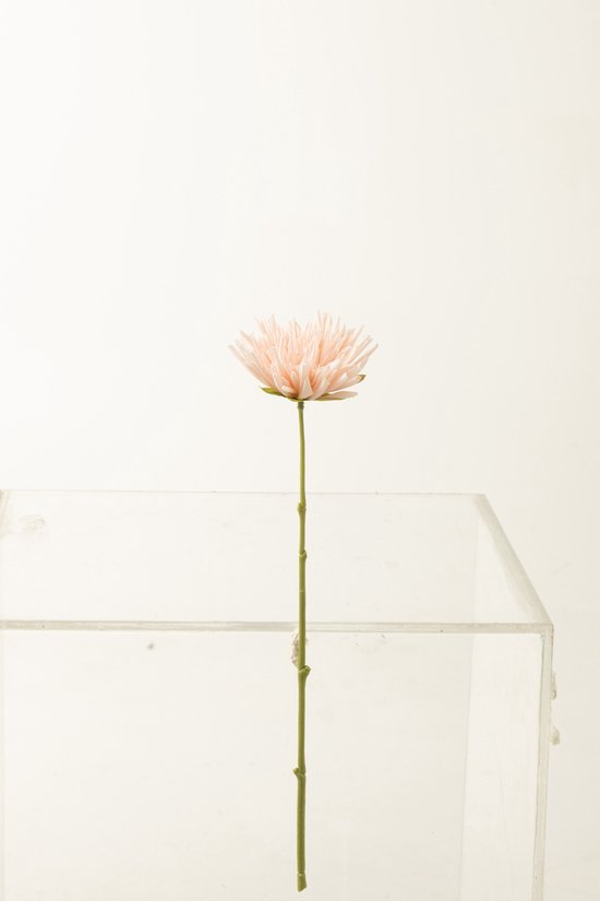 J-Line Chrysantheme Mini Plastique Rose Clair