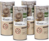 Pokon Tegen Mieren Korrels - 4x250gr - Mieren bestrijden - 40g per 2L water - Voordeelverpakking - Mierenpoeder