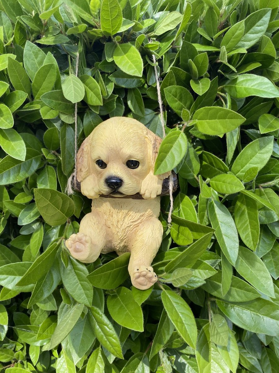Polyresin hangend (tuin) dier "hond" - beige(2) - hoogte 15x10x8 cm - ophangtouw - Voor binnen of buiten - Tuinaccessoires - Woonaccessoires
