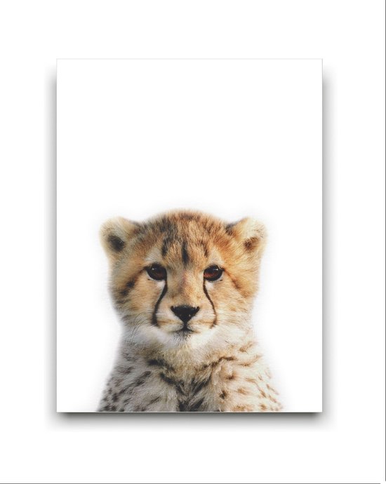 Schilderij Canvas Jungle Baby Cheeta - Kinderkamer - Dieren Doek - Babykamer / Kinder Doek - Babyshower Cadeau - Muurdecoratie - 40x30cm - FramedCity
