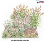 Borderpakket 'Siergrassen' - sterke, onderhoudsarme grassen - 17 planten - 3 m²