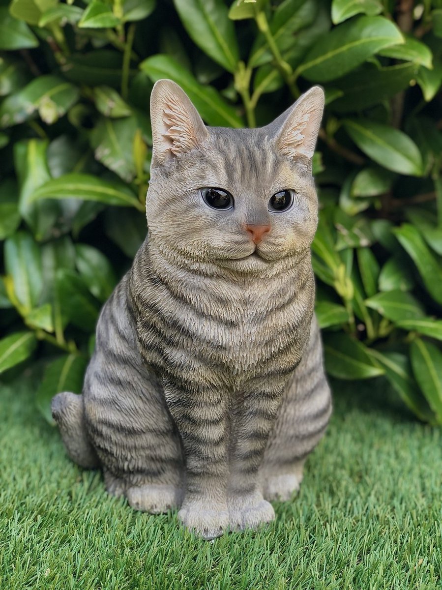 Britse Korthaar 30 cm - Kat zittend groot gestreept – kitten - poes - polyester... | bol.com