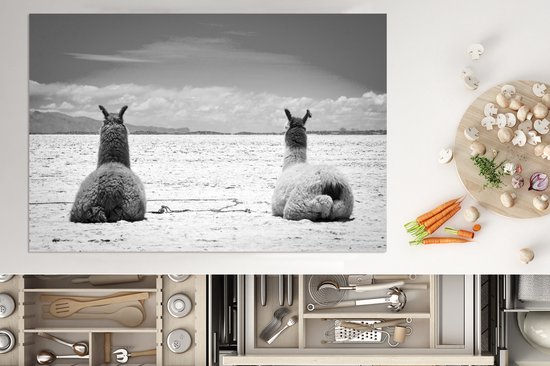 KitchenYeah® Inductie beschermer 76x51.5 cm - Rustende lama's op een zand vlakte - zwart wit - Kookplaataccessoires - Afdekplaat voor kookplaat - Inductiebeschermer - Inductiemat - Inductieplaat mat