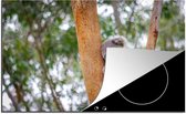 KitchenYeah® Inductie beschermer 80x52 cm - Slapende koala in een boom in Australië - Kookplaataccessoires - Afdekplaat voor kookplaat - Inductiebeschermer - Inductiemat - Inductieplaat mat