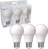 Ampoule LED ProLong E27 - Lumière blanche froide 4000K - 8W (60W) - A60 Poire mate - 3 lampes