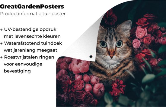 Affiche de jardin - Chat - Animaux - Fleurs - Roses - 200x200 cm - Affiche clôture - Décoration murale