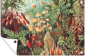 Tuin - Tuinposter - Bloemen - Kunst - Vintage - Planten - Ernst Haeckel - 120x80 cm - Muurdecoratie - Tuinschilderij - Tuindoek - Buitenposter